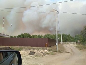 Фоторепортаж: лесной пожар в Деулино