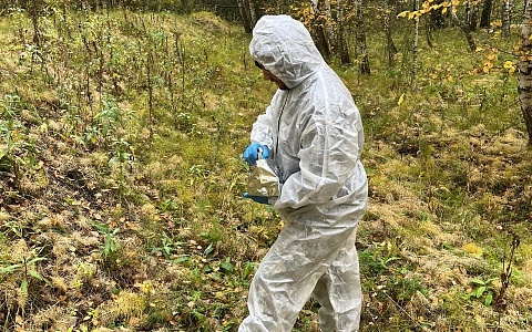 В рязанских лесах начали раскладывать вакцину от бешенства В рязанских лесах начали раскладывать вакцину от бешенства