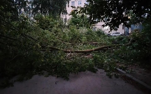 В Рязани спасатели распиливали упавшие деревья, вскрывали двери и лифты