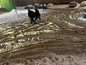 Вязнут фуры: рязанцы пожаловались на снег во дворах на Быстрецкой