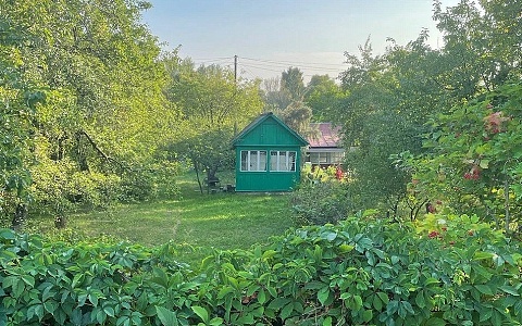 Минимум 20 000 рублей: рязанцев начнут штрафовать за борщевик с мая