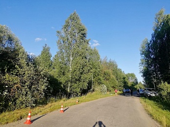 В Касимовском районе при опрокидывании ВАЗ-2110 погиб 20-летний водитель 