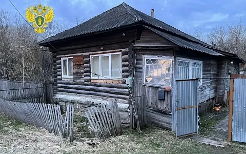 УМВД: задержан подозреваемый в убийстве годовалого ребенка и его мамы в Кадоме