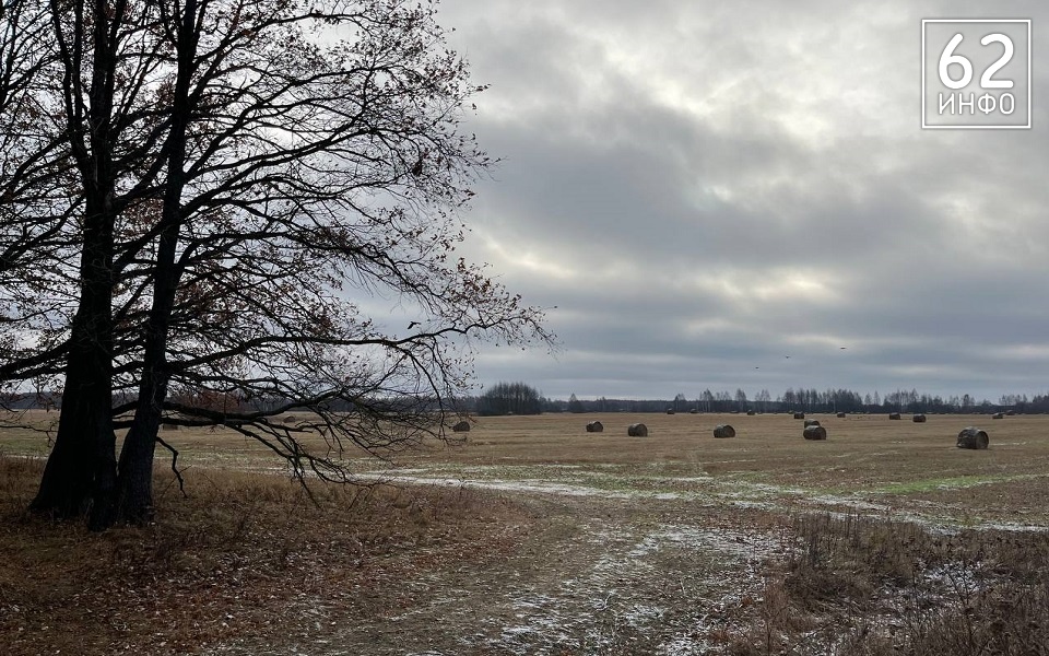 В четырех районах Рязанской области ветер может оборвать провода - 62ИНФО