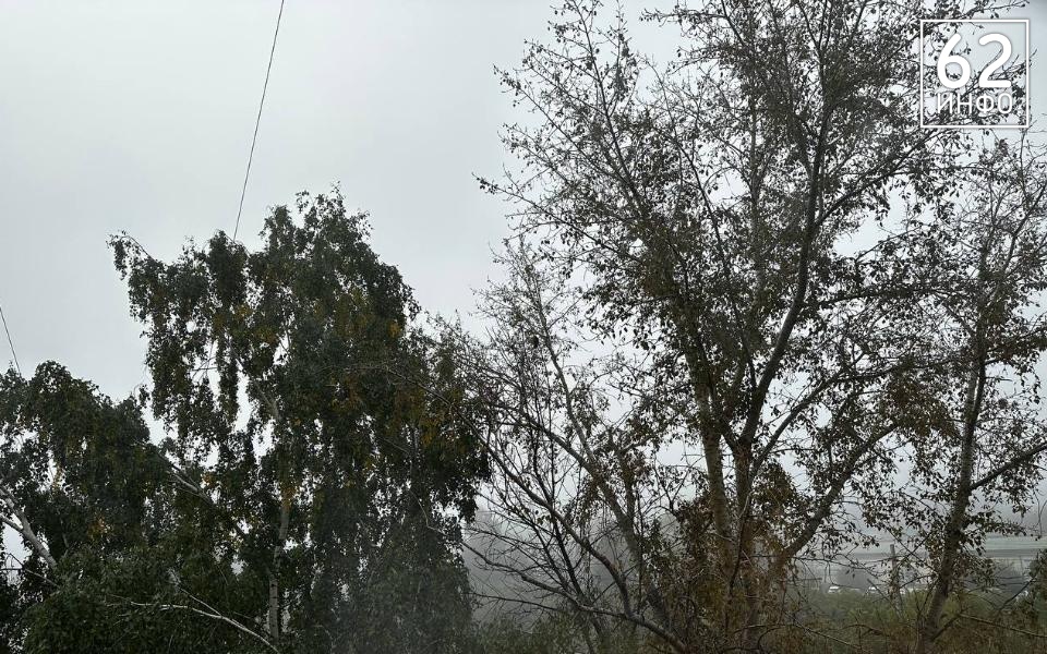 Рязанцев предупредили о наступающих дожде и грозе 4 мая - 62ИНФО