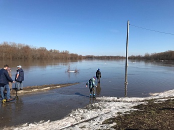 В рязанском Лесопарке прогнили новые помосты