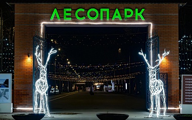 Рязанский Лесопарк готовится к Новому году