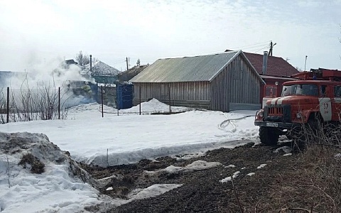 В Сараевском районе сгорела баня, пожарные отстояли соседний дом