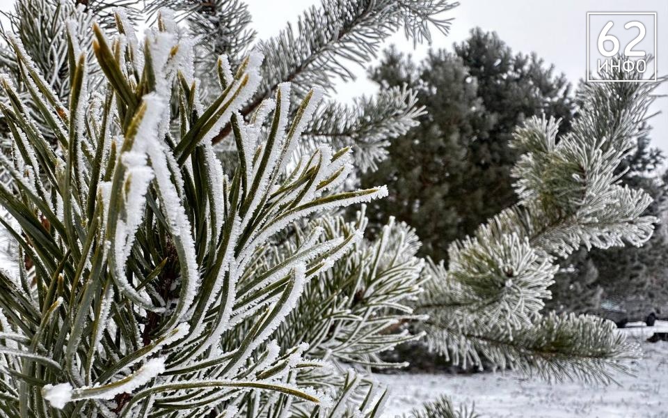 Рязанцев предупредили о метели и ледяном дожде 29 января - 62ИНФО