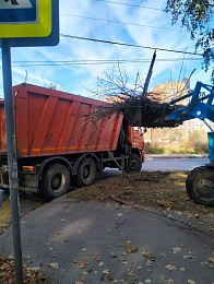 Более 200 рязанцев вышли на первый осенний субботник - 62ИНФО Более 200 рязанцев вышли на первый осенний субботник