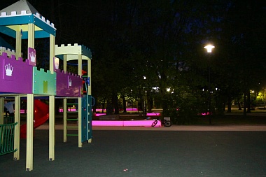 Мэр Елена Сорокина поручила разобраться с проблемами освещения в парках Рязани