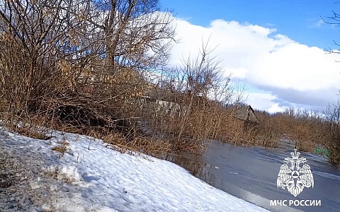 Проня падает, Ока растет: в МЧС рассказали о паводке 18 марта