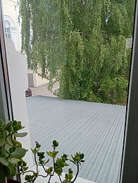 Дерзкий ночной козодой сфотографировался в центре Рязани