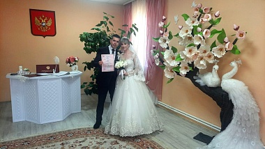 Рязанский ЗАГС показал фото свадеб лета-2024