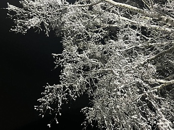 Снежное полнолуние марта сфотографировали в рязанской глубинке - 62ИНФО Снежное полнолуние марта сфотографировали в рязанской глубинке