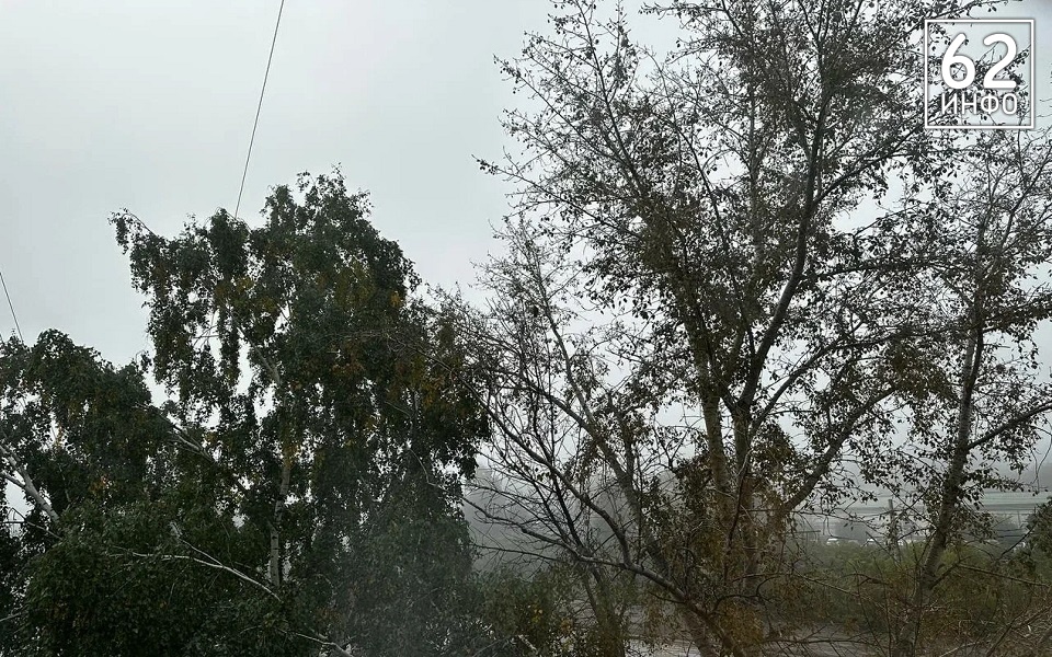 Двум районам Рязанской области грозит штормовой ветер - 62ИНФО