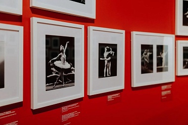 Рязанский губернатор Малков объявил об открытии выставки в честь Майи Плесецкой - 62ИНФО Рязанский губернатор Малков объявил об открытии выставки в честь Майи Плесецкой