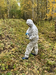 Не берите в руки: люди в химзащите раскладывают приманки в рязанских лесах  - 62ИНФО Не берите в руки: люди в химзащите раскладывают приманки в рязанских лесах