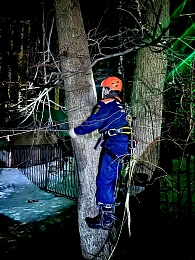 В Рязани спасли замёрзшего и испуганного кота с высоты 5 этажа