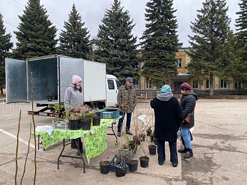 Рязанцы могут купить саженцы и рассаду на выставке «Сад-огород» до 23 апреля