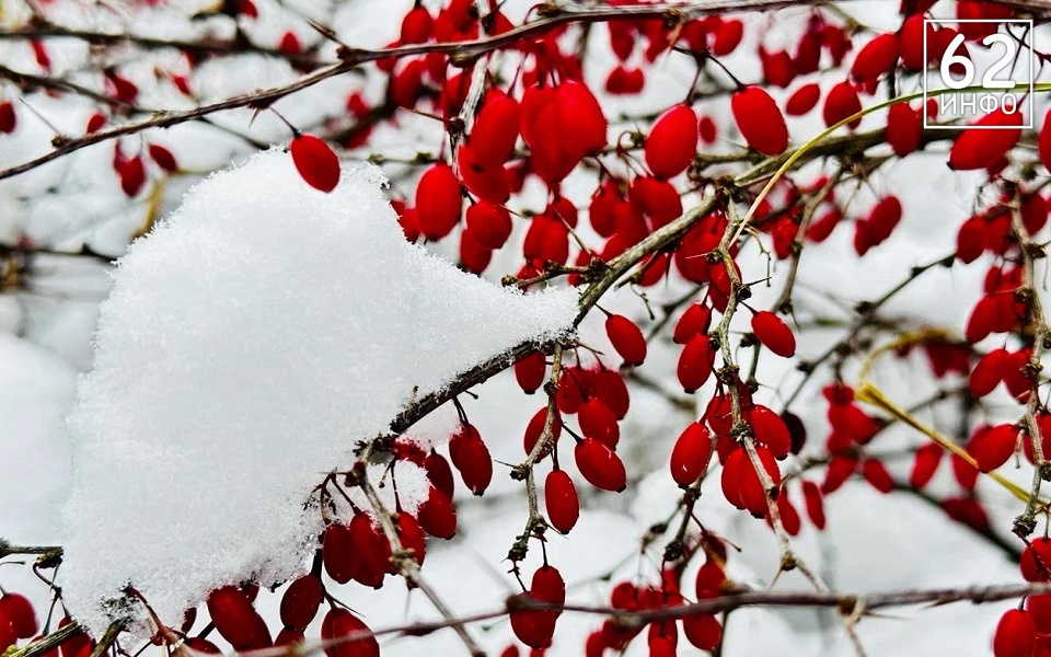 Температура в Рязанской области уже ночью упадет до -20°С - 62ИНФО