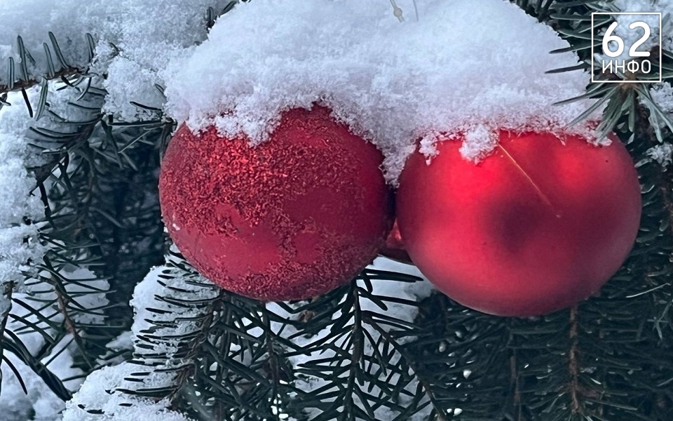 Где купить елку: в Рязани 6 новогодних базаров будут работать до 31 декабря - 62ИНФО