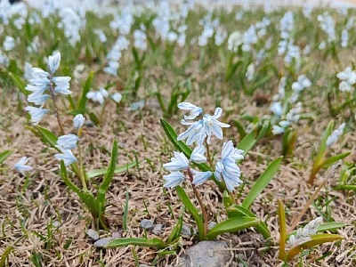 Метеоролог рассказал, когда в Рязанскую область вернется тепло