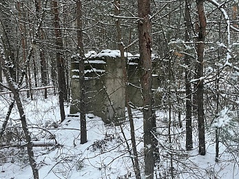 В рязанском лесу сфотографировали заброшки и лестницу в никуда - 62ИНФО В рязанском лесу сфотографировали заброшки и лестницу в никуда