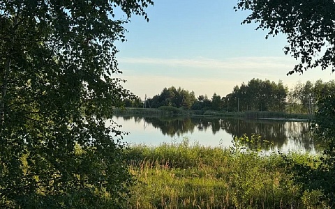 Больше 40 рязанцев пострадали за неделю от клещей