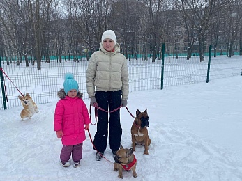 В Рязани прошли выступления домашних питомцев 