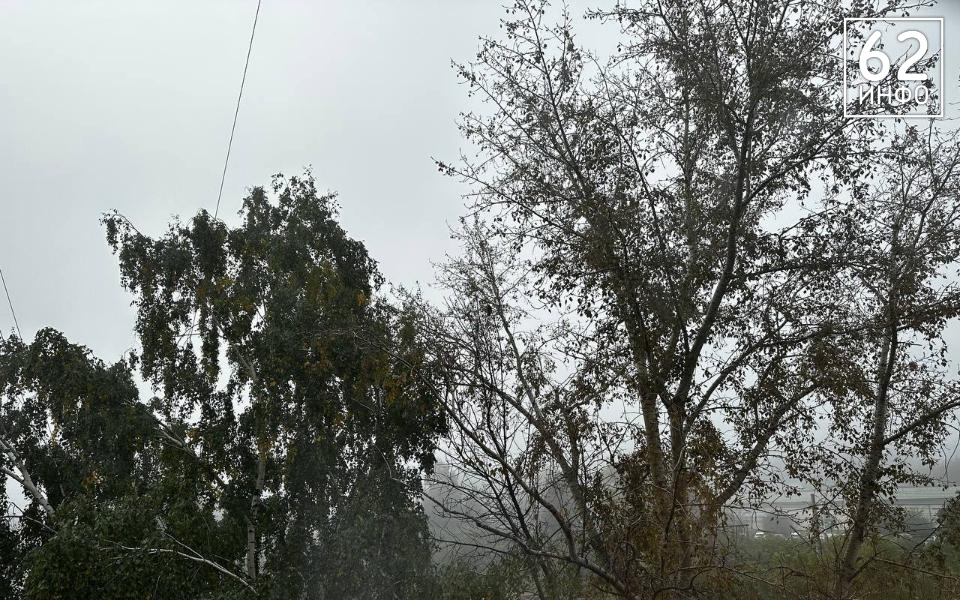 Рязанцев предупредили об усилении ветра 27 апреля - 62ИНФО