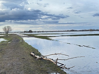 Уходящая натура: фото разлива Оки