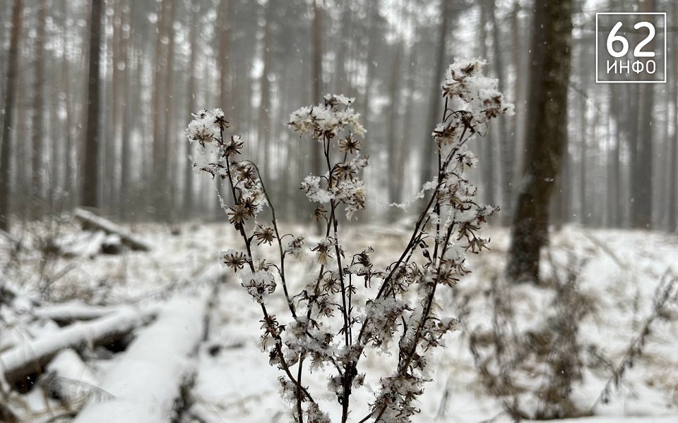 МЧС предупредило рязанцев о резком похолодании - 62ИНФО