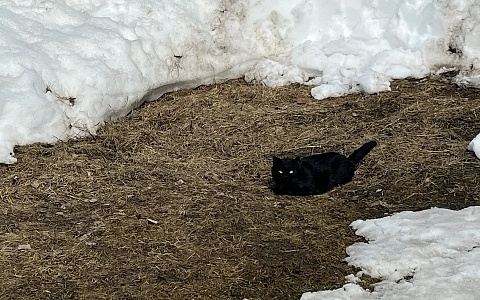 В Рязанской области 23 марта похолодает до -7°С