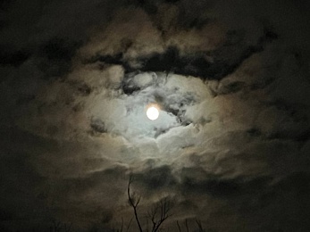 Снежное полнолуние марта сфотографировали в рязанской глубинке - 62ИНФО Снежное полнолуние марта сфотографировали в рязанской глубинке