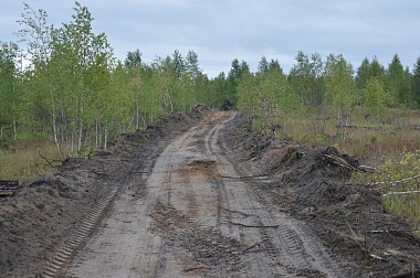 Дым без огня. Как выглядит лесной пожар под Рязанью спустя неделю 