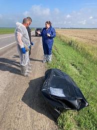 Ветслужба утилизировала умершего у трассы кабана в Рязанской области