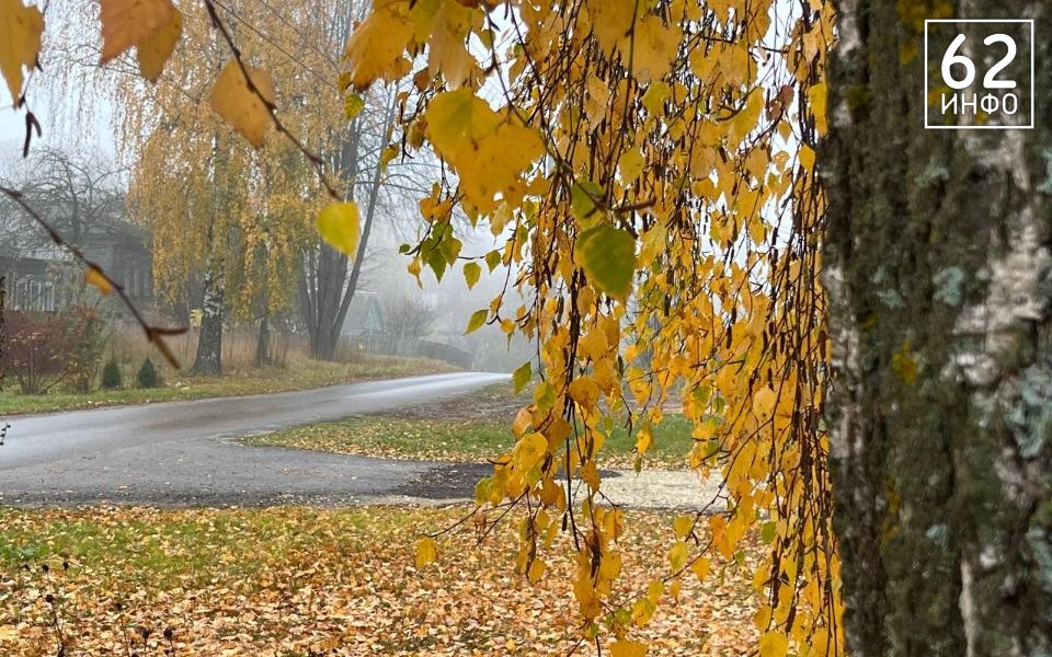 Дождь и туман спустятся на рязанцев 11 ноября - 62ИНФО