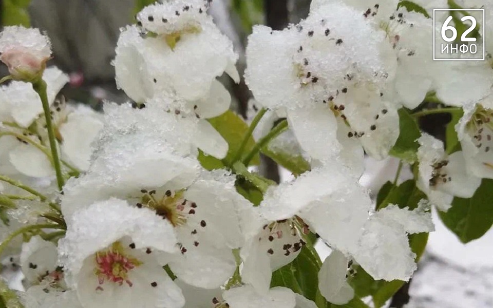 В Рязанской области 11 января ждут нового погодного рекорда - 62ИНФО