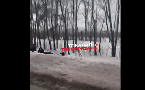 Под Рязанью легковушка вылетела в кювет с трассы М-5 "Урал"