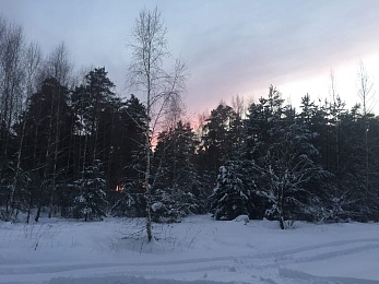 Зимние развлечения: чем заняться в Рязани в снежном январе