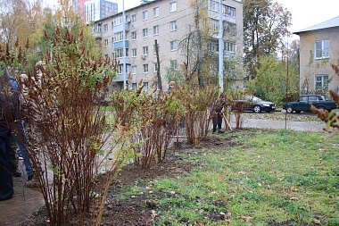 Ветераны СВО и десантники помогли озеленить Гвардейский сквер в Рязани