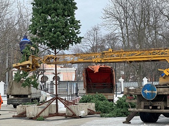 В Рязани монтируют 22-метровую ель на площади Ленина - 62ИНФО В Рязани монтируют 22-метровую ель на площади Ленина