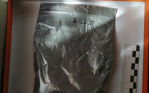 Опьянённого наркотиками нижегородца поймали в Шацке с крупной партией веществ Опьянённого наркотиками нижегородца поймали в Шацке с крупной партией веществ