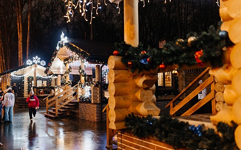 Рязань оказалась в числе самых популярных городов для празднования Нового года