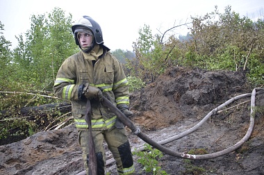 Дым без огня. Как выглядит лесной пожар под Рязанью спустя неделю 