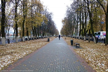 В Рязани собрали 10 тонн листвы на месячнике по уборке города