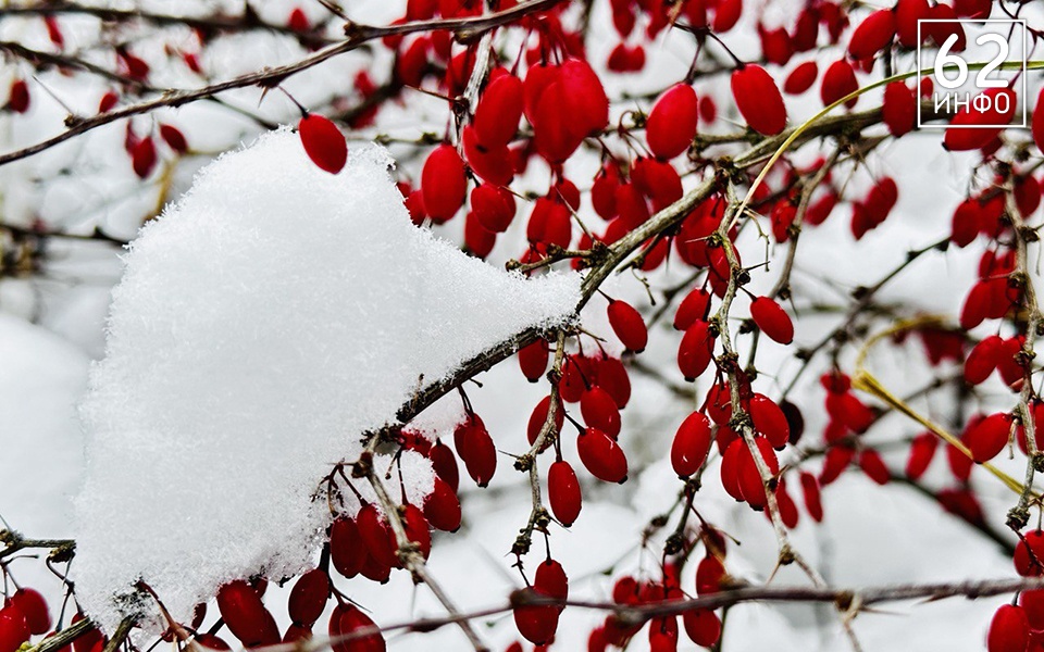 В первый день зимы в Рязанской области ожидается снег - 62ИНФО