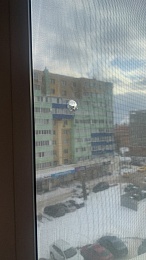 В Рязани неизвестный стрелял по окнам квартир из пневматического пистолета