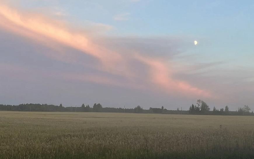В Рязанской области похолодает до +7°С